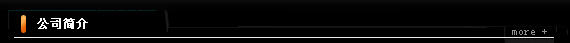公司简介